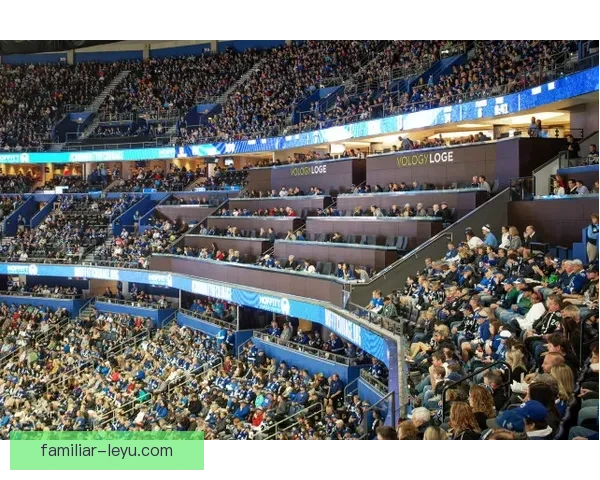 世界网坛最新动态聚焦顶级赛事球星表现与未来格局深度解析全面观察